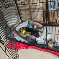 Photo of Marble