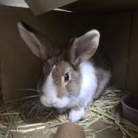 Photo of Catherine Willows