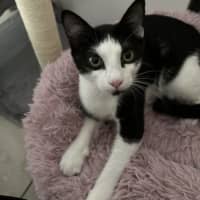 Photo of Lucky And Sosage