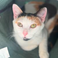 Photo of Sophia