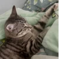 Photo of Peter And Brock