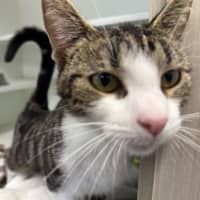 Photo of Delilah