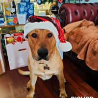 Photo of Bishop