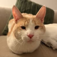 Photo of Meep Beep