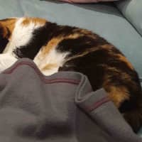 Photo of Queen Mimmi