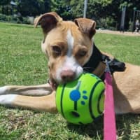 Photo of Ellie Valenti