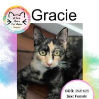 Photo of Gracie