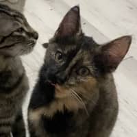 Photo of Agatha