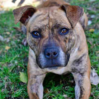 Photo of Polly Pocket