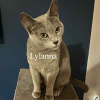 Photo of Lylanna And Mishka