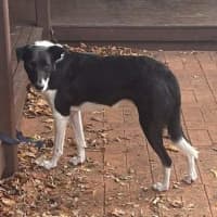 Photo of Maggie