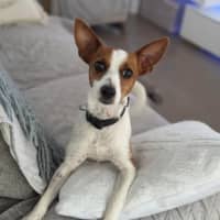 Photo of Crystal 