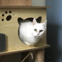 Photo of Rachel & Iggy