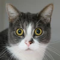 Photo of Frankie