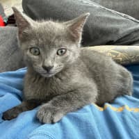 Photo of Harley & Harper