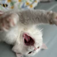 Photo of Will & Grace