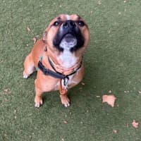 Photo of Wiggle Worm