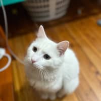 Photo of Mr Pickles