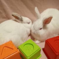 Photo of Blizzard & Odette 