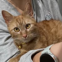 Photo of Chilli