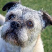 Photo of Molly Wensleydale