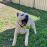 Photo of Marlo