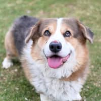 Photo of Duke
