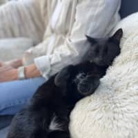 Photo of Holly