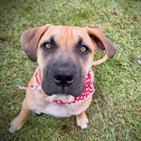 Photo of Liam O’cleary