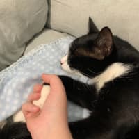 Photo of Mieka And Loki