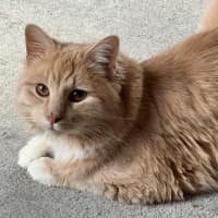 Photo of Ricardo Silvanus