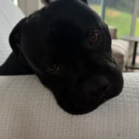 Photo of Reggie