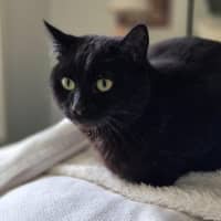 Photo of Mitzy Quinnell