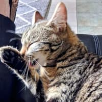 Photo of Titch