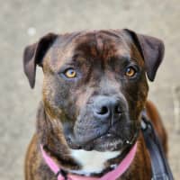 Photo of 🍃 Miguel 5402 🍃