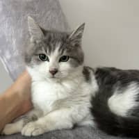 Photo of Roo & Kipper 