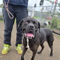 Photo of Freya (66828)