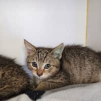 Photo of Dennis And Timmy