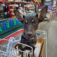 Photo of Ralph