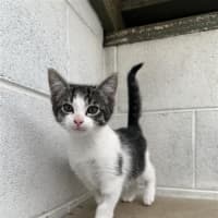 Photo of Crunchie