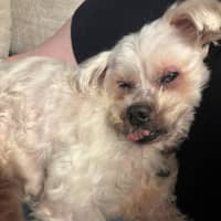 Photo of Wally And Ollie Peggotty