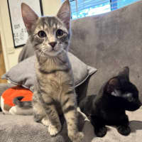 Photo of Freddie Aka Freaking Freddie