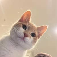 Photo of Bingo