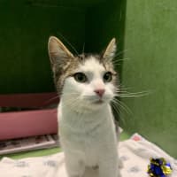 Photo of Enid