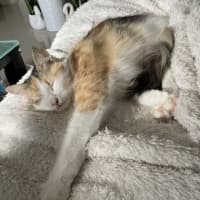 Photo of Kumi
