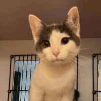Photo of Hugo
