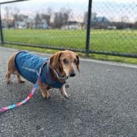 Photo of Hans Russelton