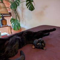 Photo of Kiko
