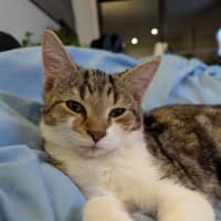 Photo of Dottie Golden