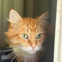 Photo of Kingston 